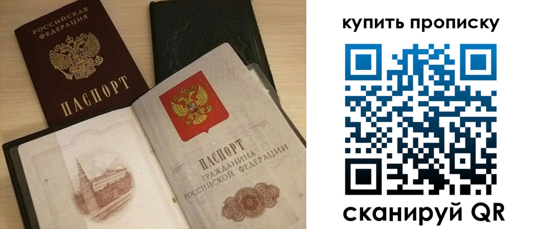 прописка гарантия в Белгородской области